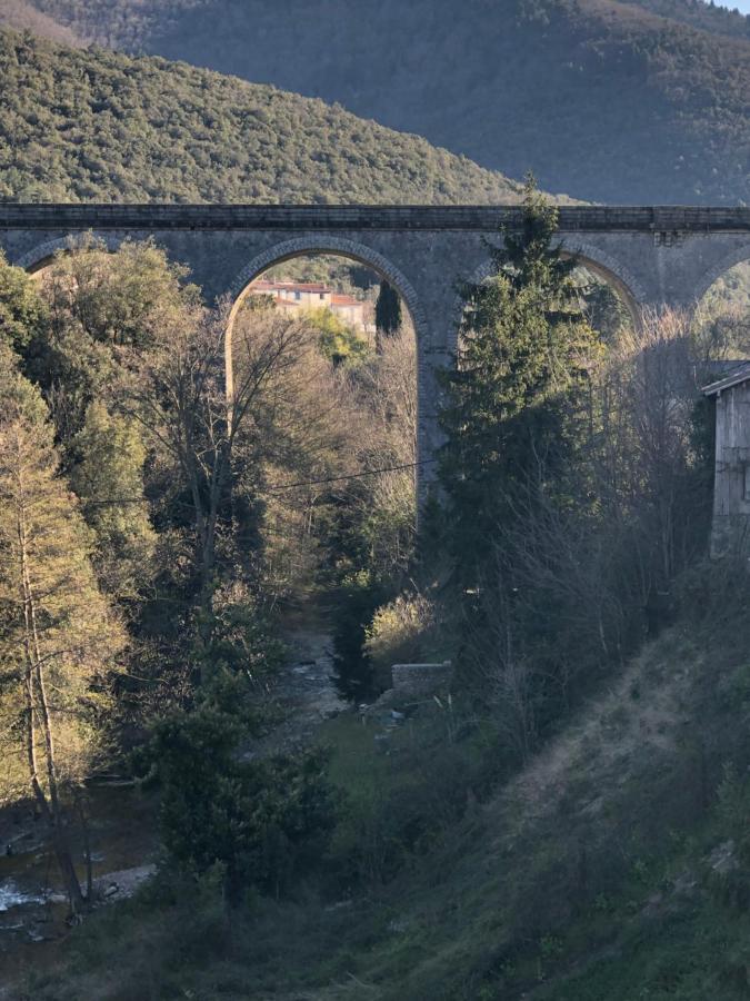 サン・ポール・ド・フェヌイエ Domaine Mas Terra Bed & Breakfast エクステリア 写真